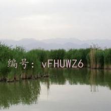 ǧ