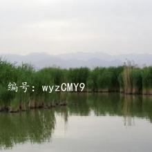 ΢