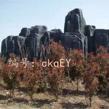 ʶ